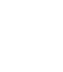 Cognition Learning & Development